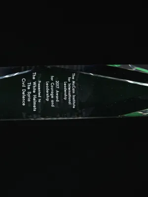 Mccain Award