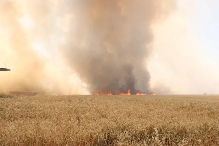 A Statement from White Helmets: Commitment to Extinguishing Agricultural Crop Fires and Safeguarding Food Security across Syrian Regions